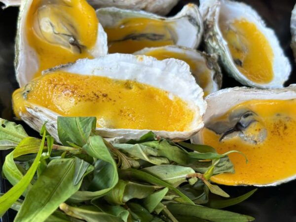 Getaways Long Phuoc Tunnel - Phuoc Hai Fishing Village 1day - Booking and Cancellation Policy