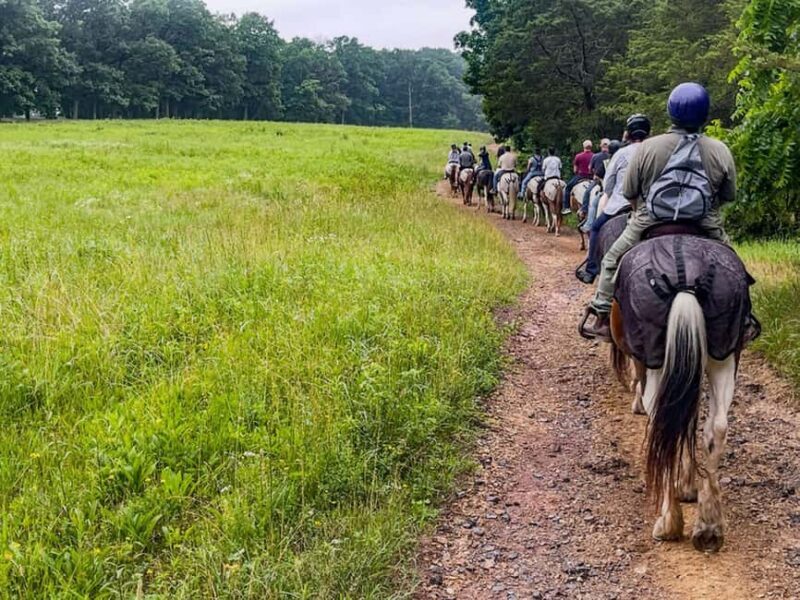 Gettysburg: 2 Hour Scenic Horseback Ride - What Makes This Ride Stand Out?
