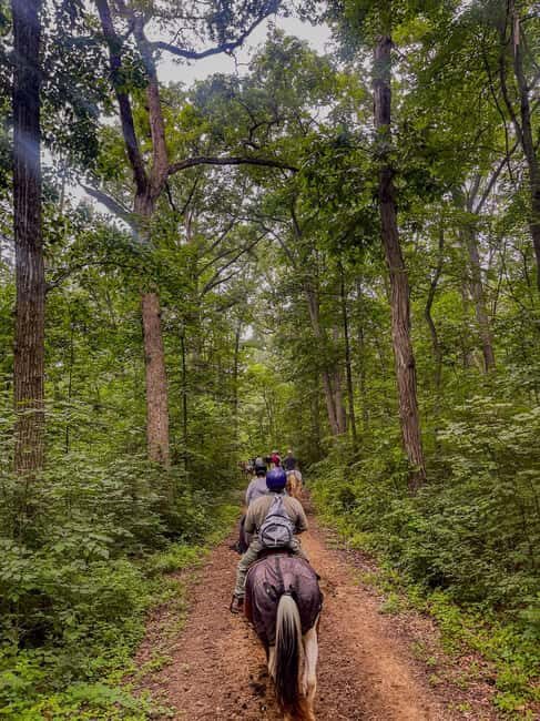 Gettysburg: 2 Hour Scenic Horseback Ride - The Horses and Support Staff