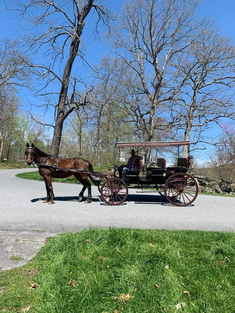 Gettysburg: Culps Hill Historical Carriage Ride Tour - Good To Know