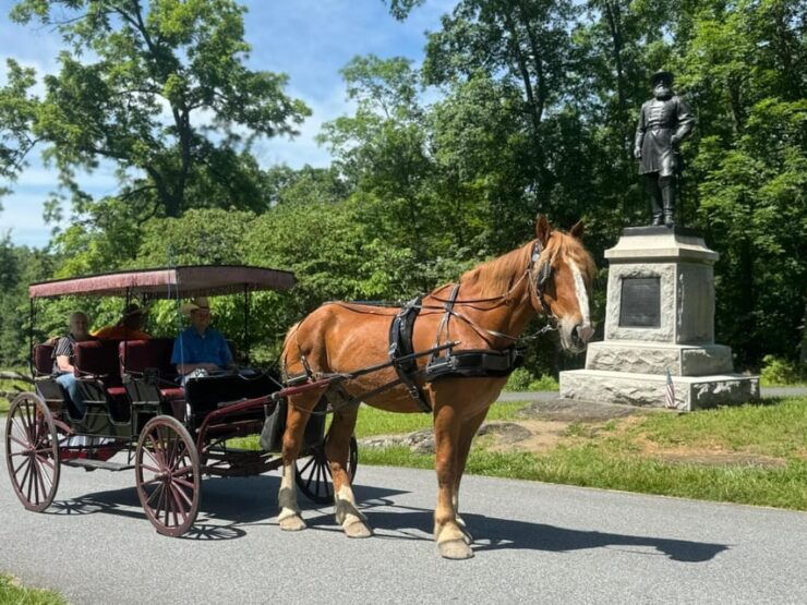 Gettysburg: Culps Hill Historical Carriage Ride Tour - Booking Information