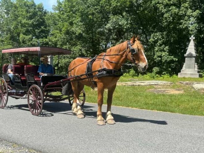 Gettysburg: Culps Hill Historical Carriage Ride Tour - Experience Highlights