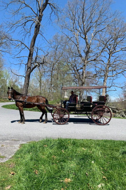 Gettysburg: Culps Hill Historical Carriage Ride Tour - Meeting Point and Duration