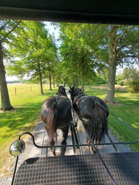 Gettysburg: Horse-Drawn Carriage Tour Countryside & Orchards - Good To Know