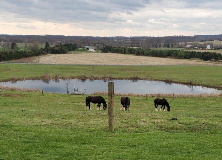 Gettysburg: Horse-Drawn Carriage Tour Countryside & Orchards - Experience Highlights