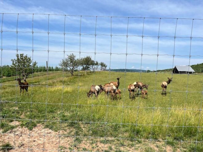 Gettysburg: Horse-Drawn Carriage Tour Countryside & Orchards - Booking and Cancellation