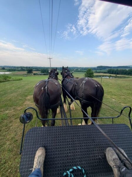 Gettysburg: Horse-Drawn Carriage Tour Countryside & Orchards - Scenic Countryside Views