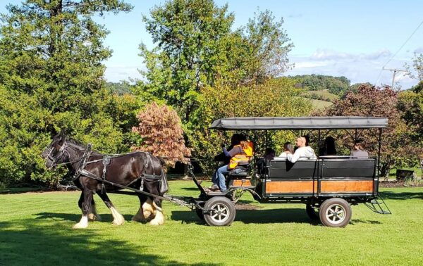 Gettysburg: Horse-Drawn Carriage Tour Countryside & Orchards - Carriage Ride Details