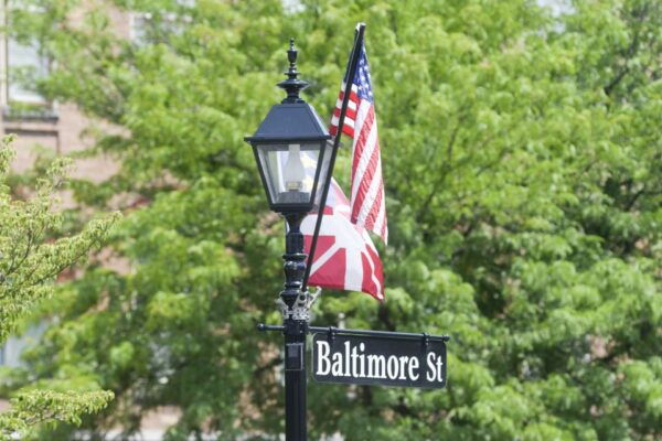 Gettysburg: Jennie Wades Baltimore Street Walking Tour - The Sum Up