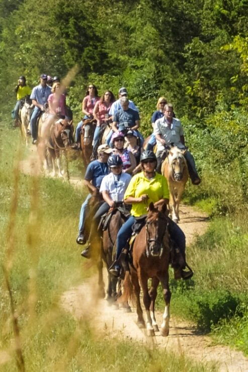 Gettysburg: Licensed Guided Battlefield Horseback Tour - Booking Information