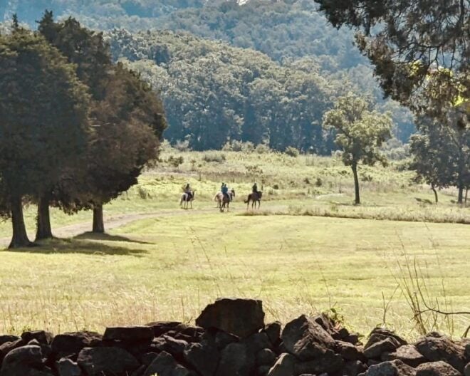 Gettysburg: Scenic Battlefield Horseback Ride - Full Description of the Activity