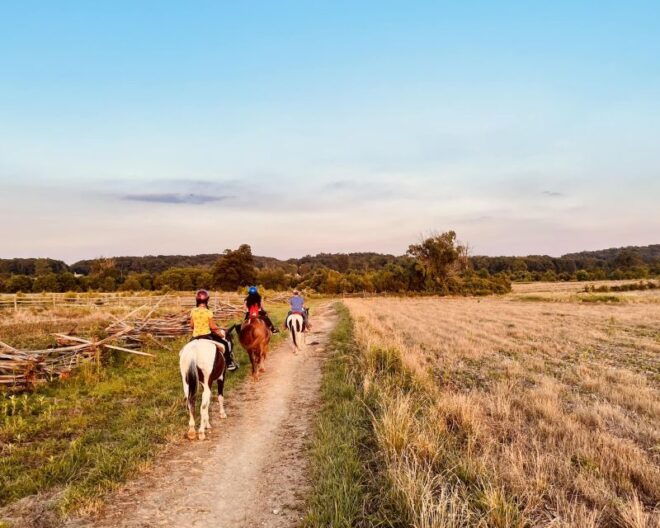 Gettysburg: Scenic Battlefield Horseback Ride - Customer Reviews and Information