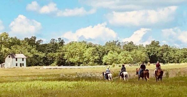 Gettysburg: Scenic Battlefield Horseback Ride - The Sum Up