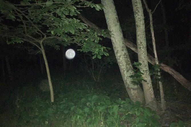 Gettysburg Small-Group After-Dark Ghost-Hunting Tour - Tour Details