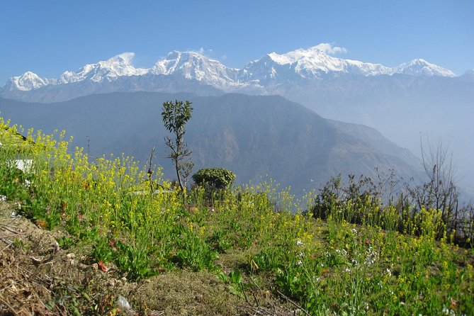 Ghalegaun Homestay Tour - Tour Highlights and Itinerary