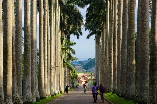 Ghana : Accra: Aburi Botanical Gardens, Cocoa Farms, Waterfalls Trip - Good To Know