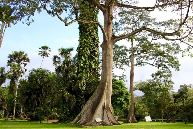 Ghana : Accra: Aburi Botanical Gardens, Cocoa Farms, Waterfalls Trip - Meeting and Pickup Information