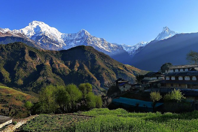 Ghandruk Tour Package - Accommodation Options