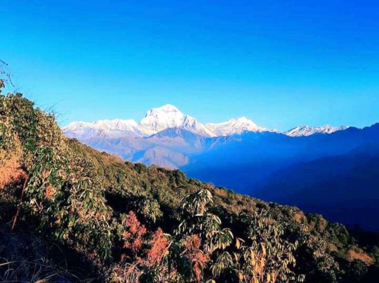 Ghandruk Trek - Experience and Highlights