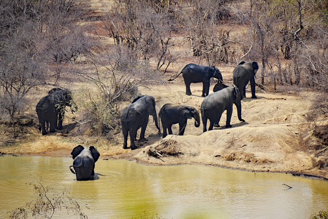 Ghanian Adventure Safari 8 Days 7 Nights( Comfort) - Accommodation Details