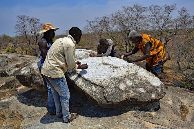Ghanian Adventure Safari 8 Days 7 Nights( Comfort) - Transportation Information