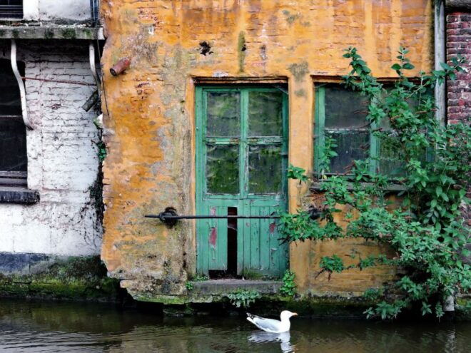 Ghent: Customized Tour With a Local Guide - Review Summary
