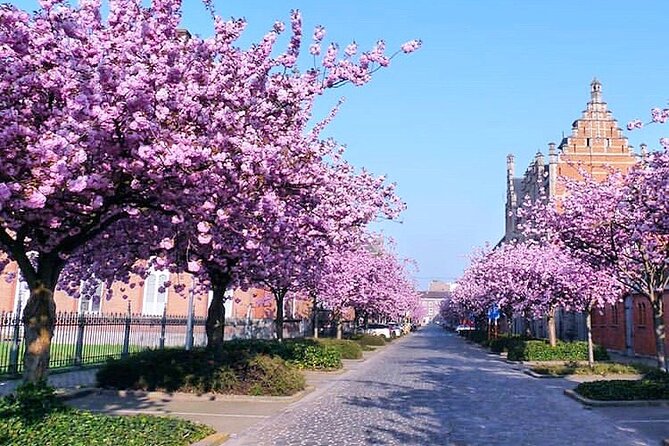 Ghent Private off the Beaten Path Tour With Local Guide - Pricing and Availability for the Tour