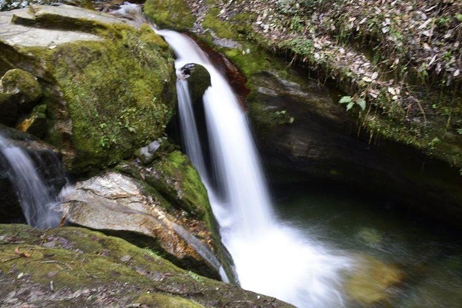 Ghoreapani Poon Hill Trek - Highlights and Attractions