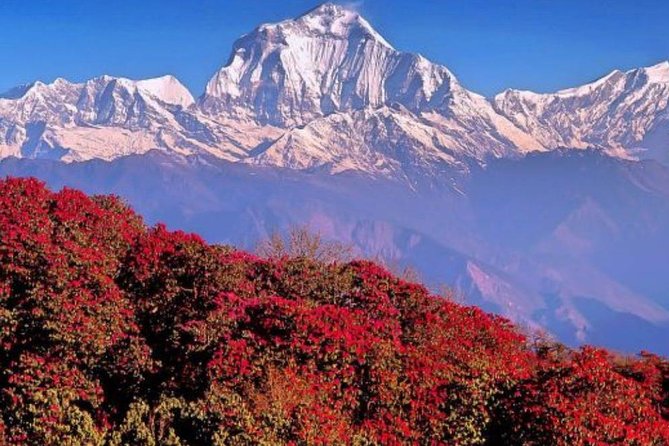 Ghorepani Ghandruk Trek - Accommodation and Meals