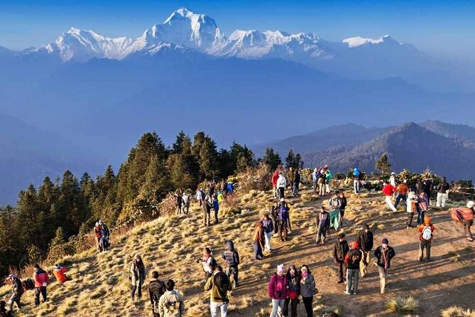 Ghorepani Poon Hill Circuit Trek in 5 Days - Accommodation and Meals