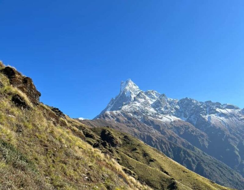 Ghorepani Poon Hill & Mardi Himal Trek - Understanding the Cost & Value