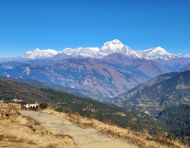 Ghorepani Poon Hill & Mardi Himal Trek - Final Thoughts