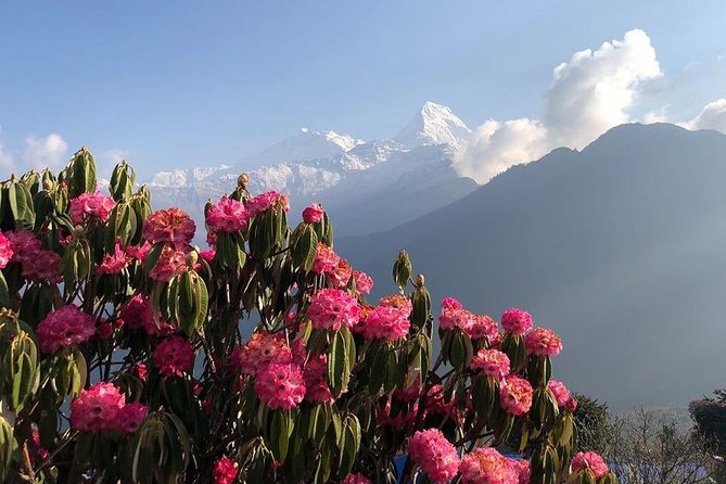 Ghorepani Poon Hill Short Trek With Sunrise Views - Best Time to Visit