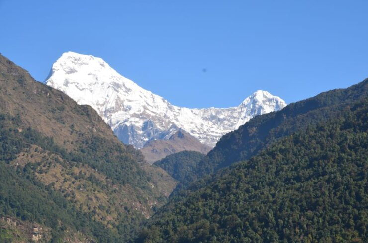 Ghorepani Poon Hill Trek - Highlights of the Trekking Experience