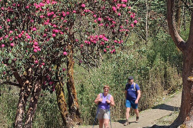 Ghorepani Poon Hill Trek: 12-Day Journey in Annapurna - Authentic Traveler Insights
