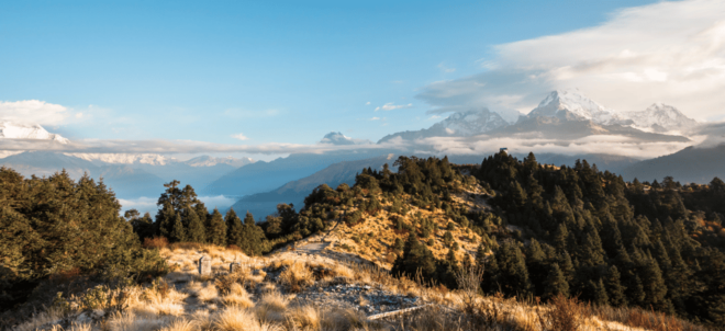 Ghorepani Poon Hill Trek - Trekking Experience