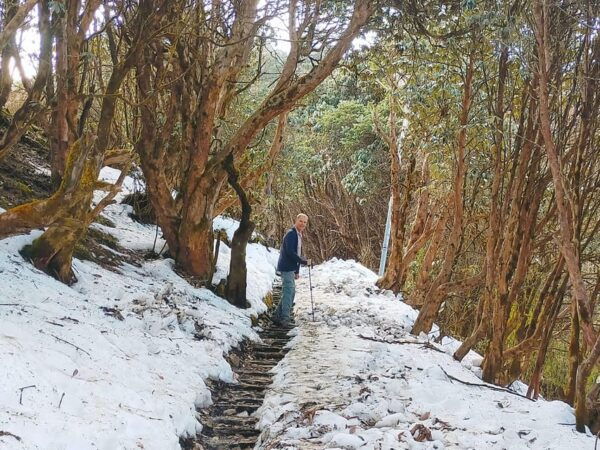 Ghorepani Poon Hill Trek - Questions You May Have