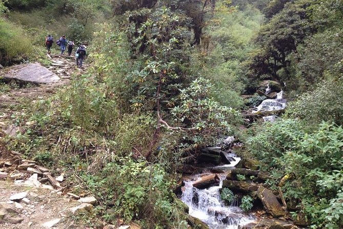 Ghorepani Poon Hill Trek - Trek Overview