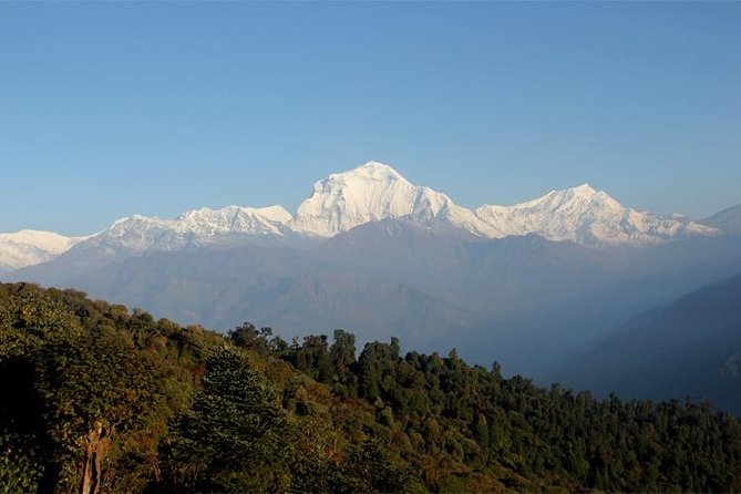 Ghorepani Poon Hill Trek - Highlights and Attractions