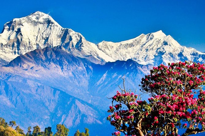 Ghorepani Poon Hill Trek - Trek Overview