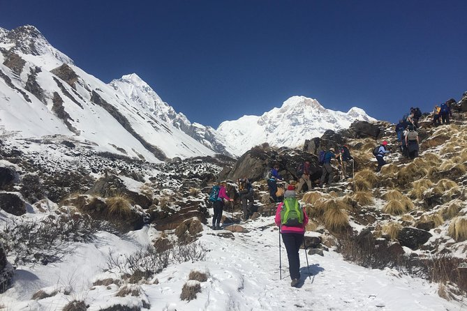 Ghorepani Poon Hill Trek - Common Questions