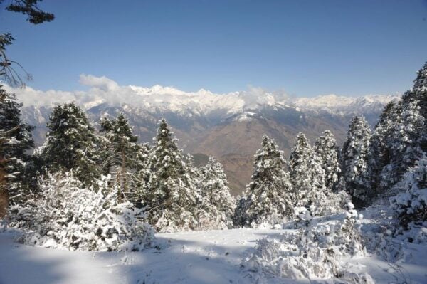 Ghorepani Poon Hill Trek: 4-Days Private Tour From Pokhara - The Sum Up