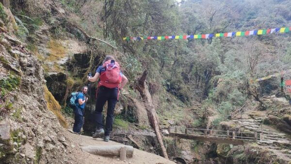 Ghorepani Poon Hill Trek - 4 Days - Safety and Health Considerations