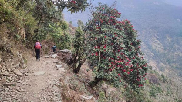 Ghorepani Poon Hill Trek - 4 Days - Break Down
