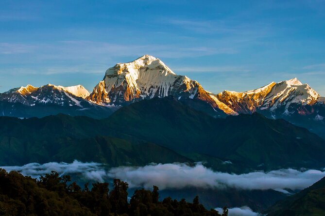 Ghorepani - Poon Hill Trek – 5 DAYS - Visa and Flights