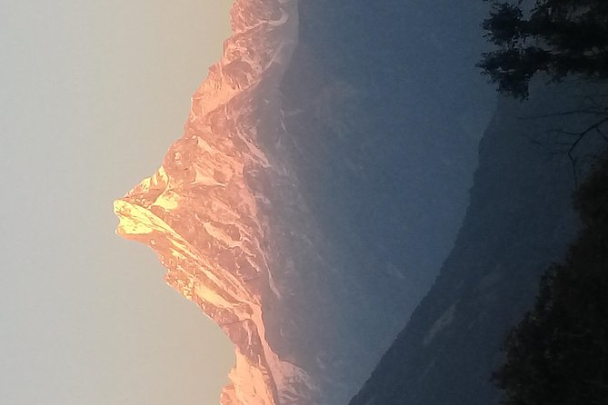 Ghorepani Poon Hill Trek: a Classic Trek in Nepal - Common Questions