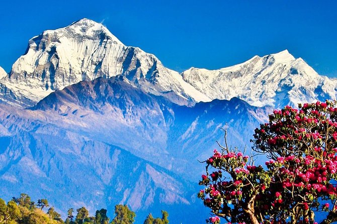 Ghorepani Poon Hill Trekking - 6 Days - Common Questions