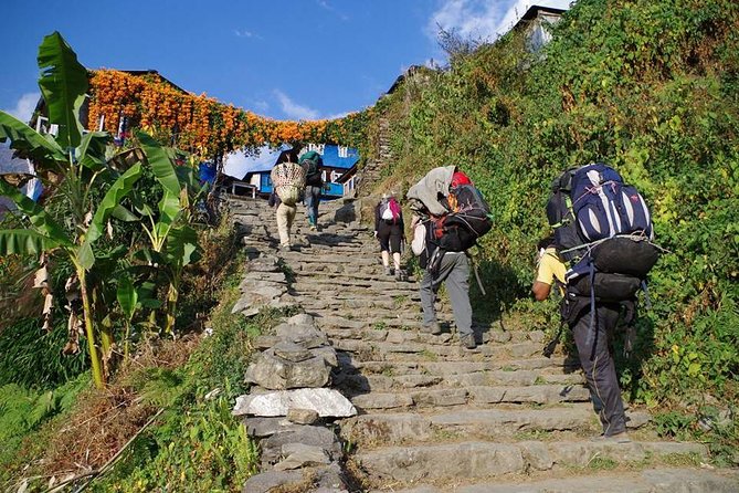 Ghorepani Poon Hill Trekking - Trekking Difficulty