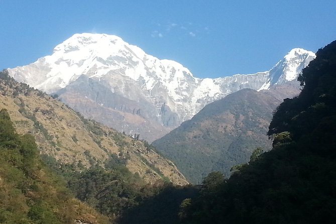 Ghorepani Poon Hill Trekking - Common Questions