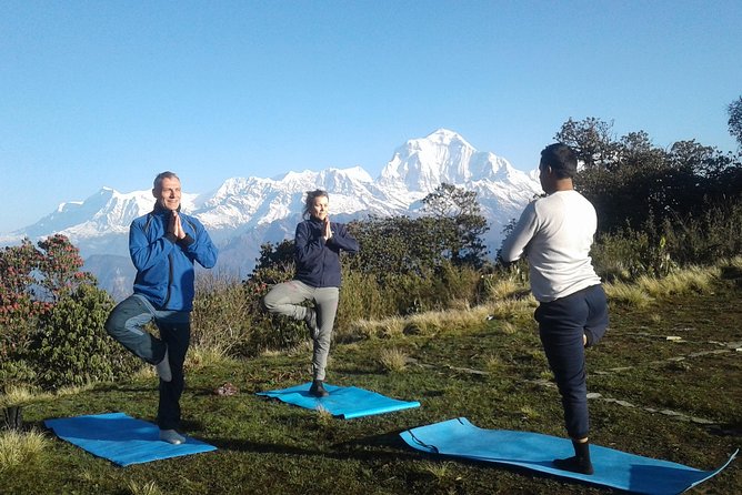 Ghorepani - Poon Hill Yoga Trek - 10 Days - Trek to Tirkhedhunga
